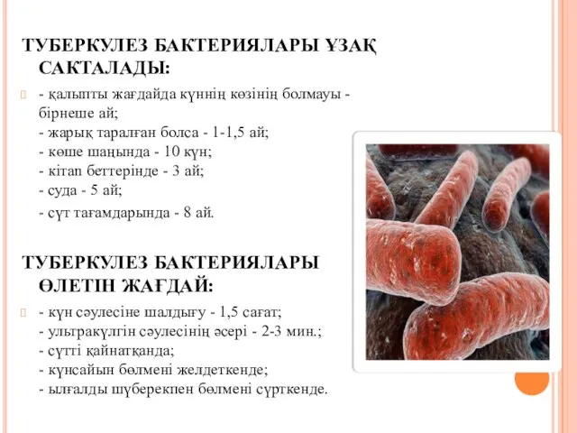 ТУБЕРКУЛЕЗ БАКТЕРИЯЛАРЫ ҰЗАҚ САКТАЛАДЫ: - қалыпты жағдайда күннің көзінің болмауы -