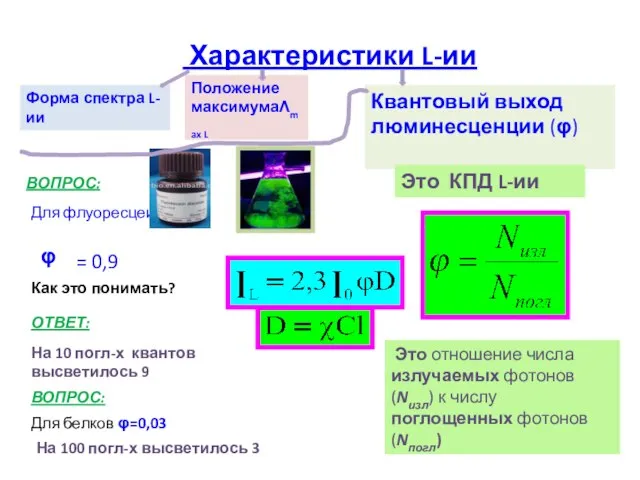 Форма спектра L-ии Характеристики L-ии Положение максимумаΛmax L Квантовый выход люминесценции