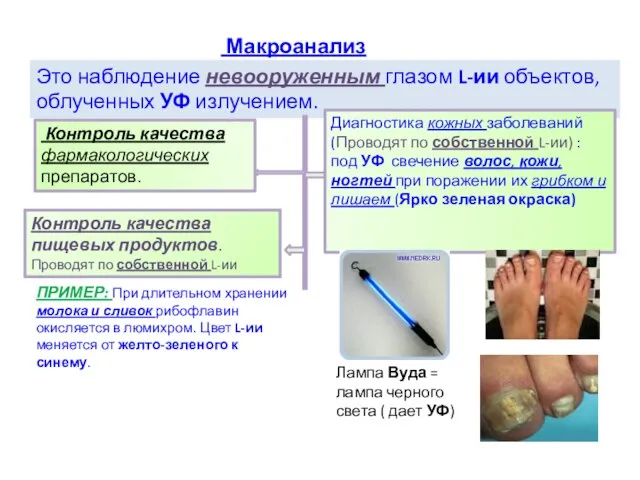 Макроанализ Это наблюдение невооруженным глазом L-ии объектов, облученных УФ излучением. Контроль