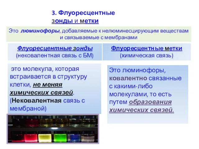 3. Флуоресцентные зонды и метки Это люминофоры, добавляемые к нелюминесцирующим веществам