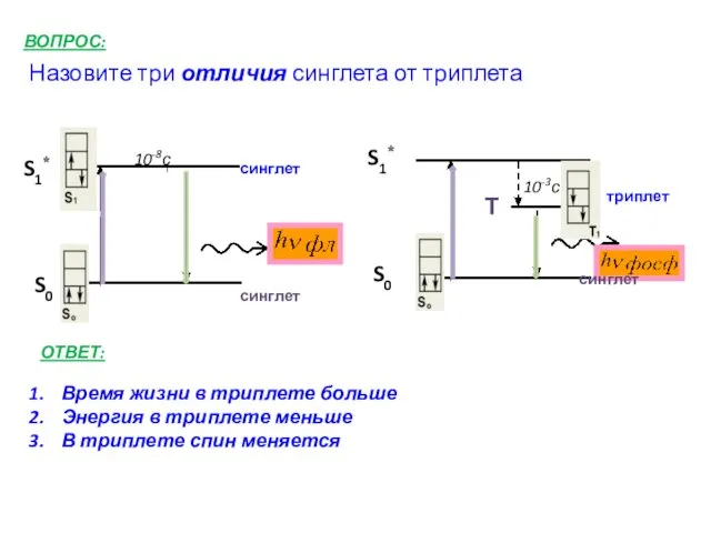 Назовите три отличия синглета от триплета ВОПРОС: синглет S0 S1* S1*