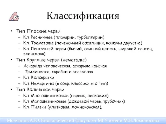 Классификация Тип Плоские черви Кл. Ресничные (планарии, турбеллярии) Кл. Трематоды (печеночный