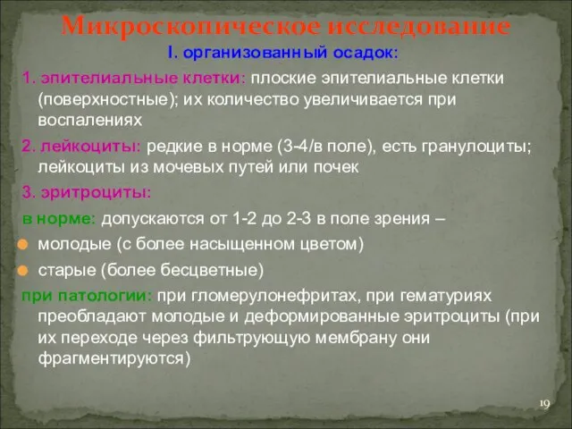 Микроскопическое исследование I. организованный осадок: 1. эпителиальные клетки: плоские эпителиальные клетки