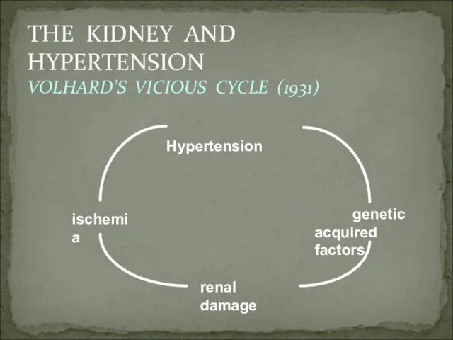 THE KIDNEY AND HYPERTENSION VOLHARD’S VICIOUS CYCLE (1931) Hypertension ischemia genetic acquired factors renal damage