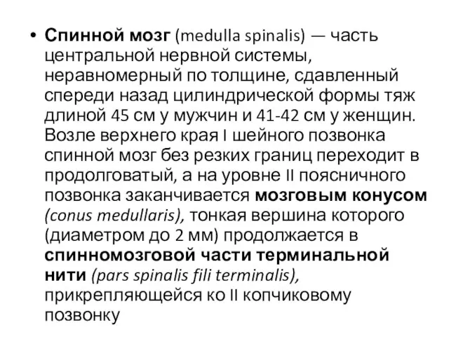 Спинной мозг (medulla spinalis) — часть центральной нервной системы, неравномерный по