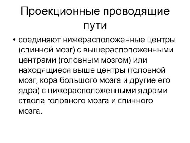 Проекционные проводящие пути соединяют нижерасположенные центры (спинной мозг) с вышерасположенными центрами