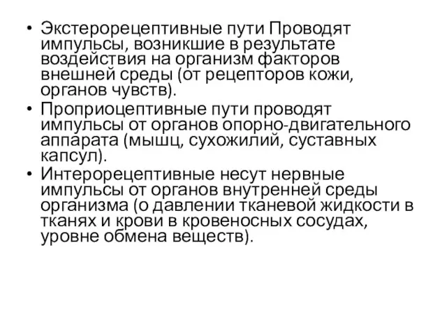 Экстерорецептивные пути Проводят импульсы, возникшие в результате воздействия на организм факторов