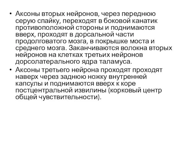 Аксоны вторых нейронов, через переднюю серую спайку, переходят в боковой канатик