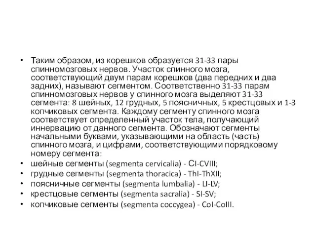 Таким образом, из корешков образуется 31-33 пары спинномозговых нервов. Участок спинного