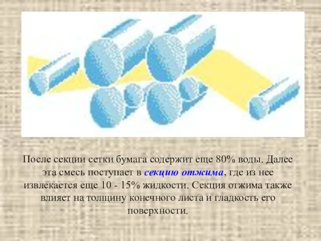 После секции сетки бумага содержит еще 80% воды. Далее эта смесь