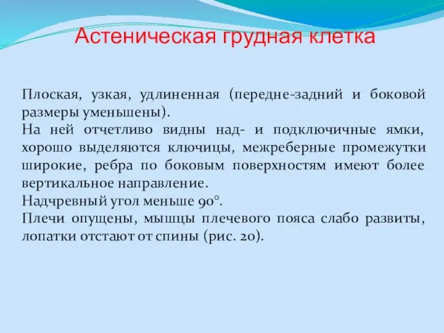 Астеническая грудная клетка Плоская, узкая, удлиненная (передне-задний и боковой размеры уменьшены).