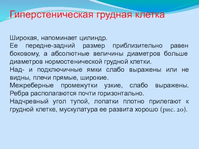 Гиперстеническая грудная клетка Широкая, напоминает цилиндр. Ее передне-задний размер приблизительно равен