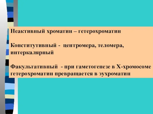 Неактивный хроматин – гетерохроматин Конститутивный - центромера, теломера, интеркалярный Факультативный -