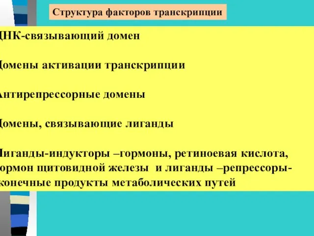 Структура факторов транскрипции ДНК-связывающий домен Домены активации транскрипции Антирепрессорные домены Домены,