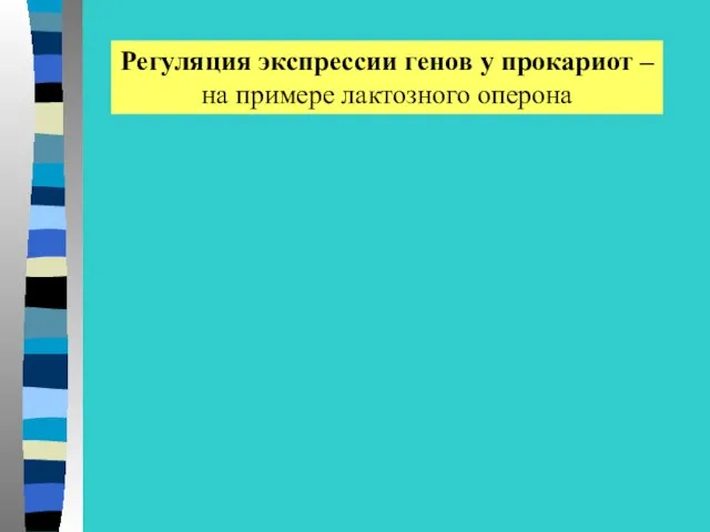 Регуляция экспрессии генов у прокариот – на примере лактозного оперона