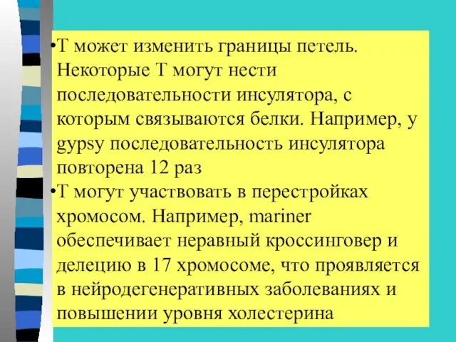 Т может изменить границы петель. Некоторые Т могут нести последовательности инсулятора,