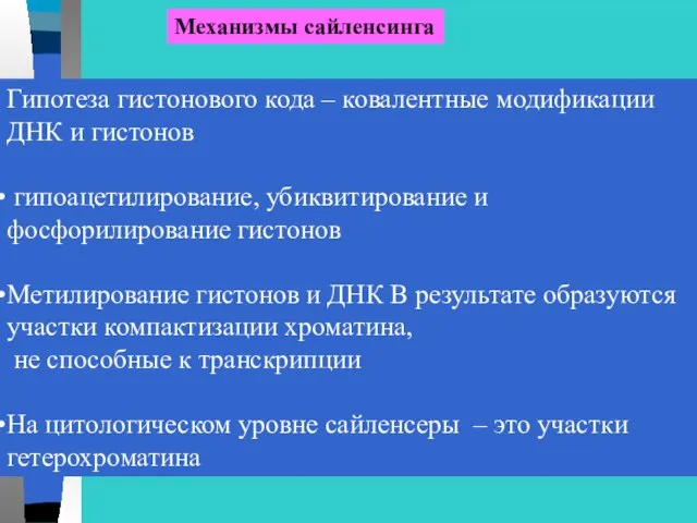 Механизмы сайленсинга Гипотеза гистонового кода – ковалентные модификации ДНК и гистонов