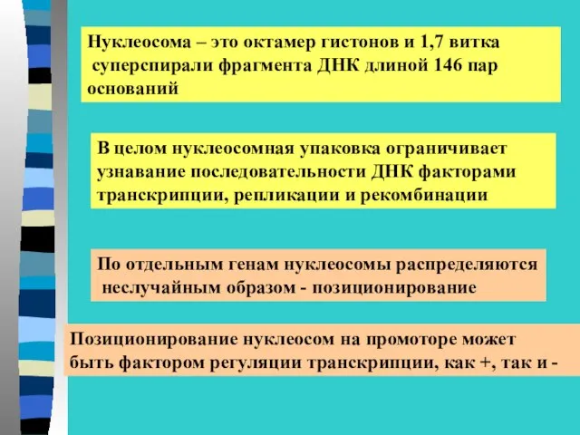 Нуклеосома – это октамер гистонов и 1,7 витка суперспирали фрагмента ДНК