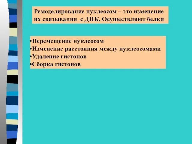 Ремоделирование нуклеосом – это изменение их связывания с ДНК. Осуществляют белки