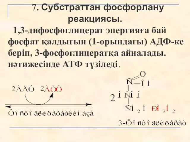 7. Субстраттан фосфорлану реакциясы. 1,3-дифосфоглицерат энергияға бай фосфат қалдығын (1-орындағы) АДФ-ке