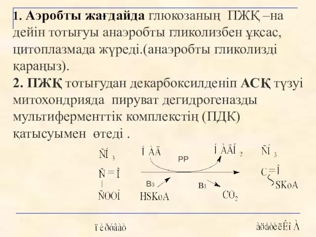 1. Аэробты жағдайда глюкозаның ПЖҚ –на дейін тотығуы анаэробты гликолизбен ұқсас,