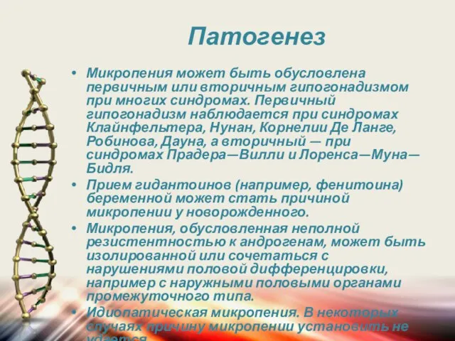 Патогенез Микропения может быть обусловлена первичным или вторичным гипогонадизмом при многих