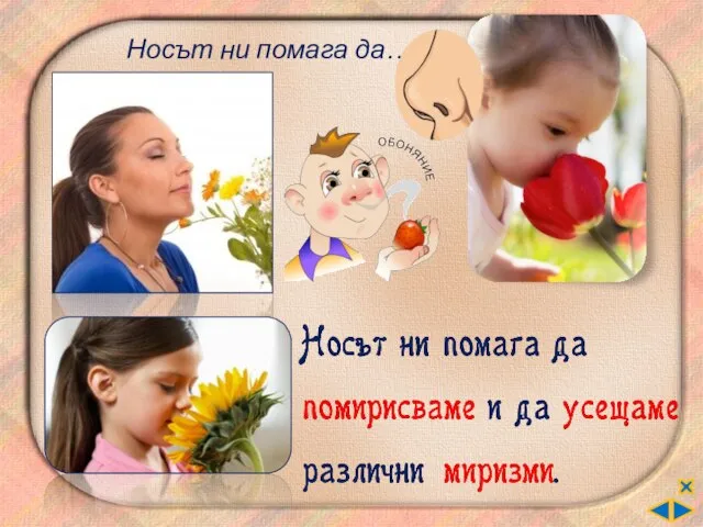 Носът ни помага да…