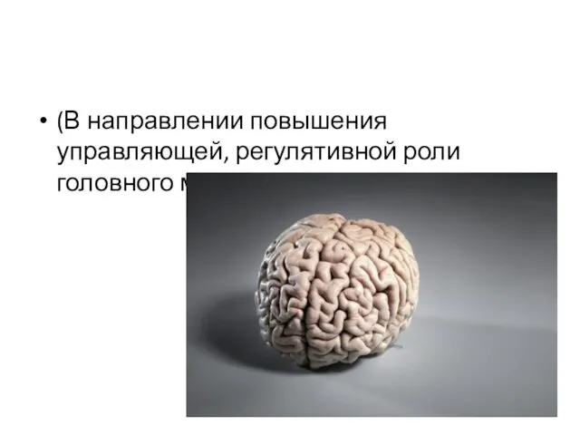 (В направлении повышения управляющей, регулятивной роли головного мозга).
