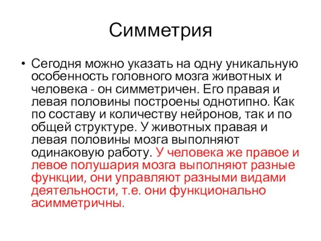 Симметрия Сегодня можно указать на одну уникальную особенность головного мозга животных