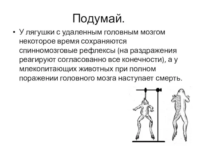 Подумай. У лягушки с удаленным головным мозгом некоторое время сохраняются спинномозговые