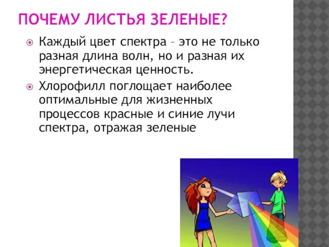 ПОЧЕМУ ЛИСТЬЯ ЗЕЛЕНЫЕ? Каждый цвет спектра – это не только разная