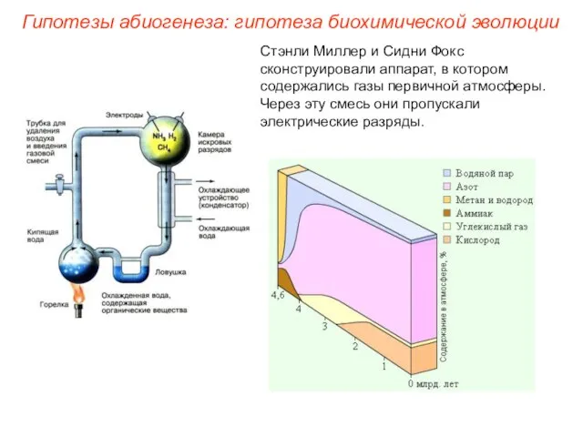 Стэнли Миллер и Сидни Фокс сконструировали аппарат, в котором содержались газы