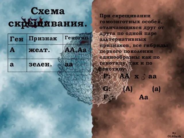 Схема скрещивания. При скрещивании гомозиготных особей, отличающихся друг от друга по