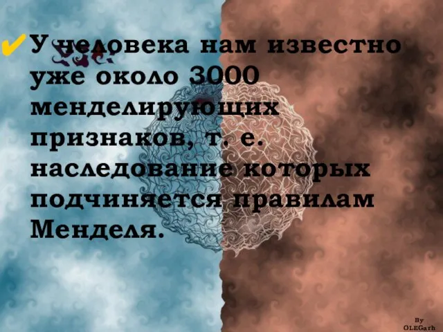 By OLEGarh У человека нам известно уже около 3000 менделирующих признаков,