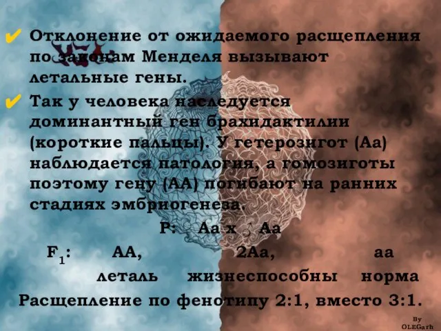 Отклонение от ожидаемого расщепления по законам Менделя вызывают летальные гены. Так