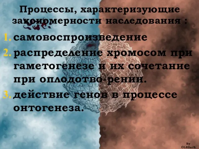 Процессы, характеризующие закономерности наследования : самовоспроизведение распределение хромосом при гаметогенезе и