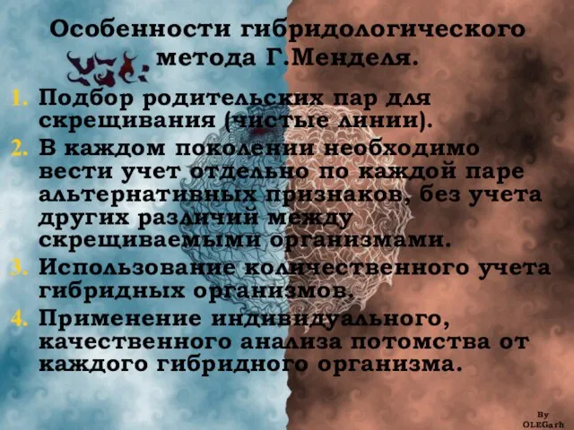 Особенности гибридологического метода Г.Менделя. Подбор родительских пар для скрещивания (чистые линии).