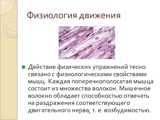 Физиология движения Действие физических упражнений тесно связано с физиологическими свойствами мышц.