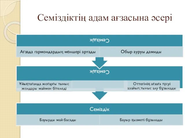 Семіздіктің адам ағзасына әсері