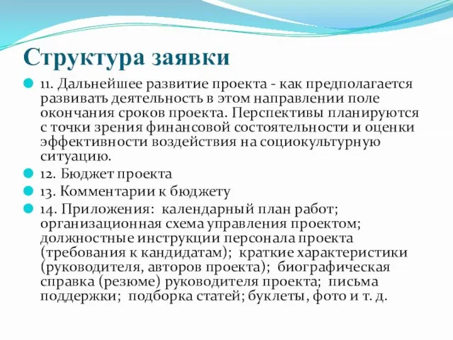 Структура заявки 11. Дальнейшее развитие проекта - как предполагается развивать деятельность