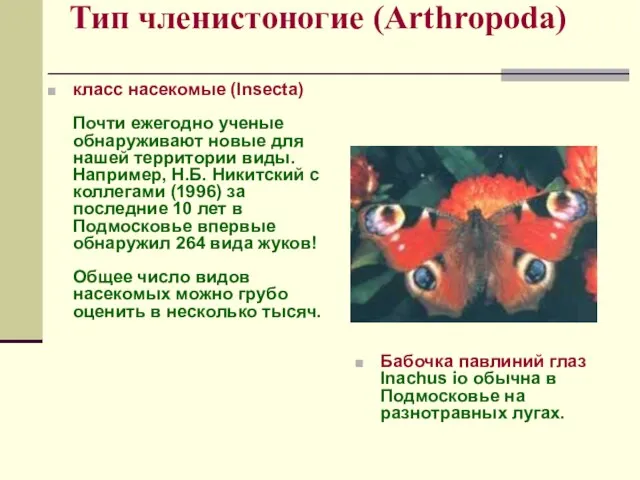 Тип членистоногие (Arthropoda) класс насекомые (Insecta) Почти ежегодно ученые обнаруживают новые