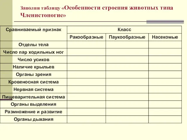 Заполни таблицу «Особенности строения животных типа Членистоногие»