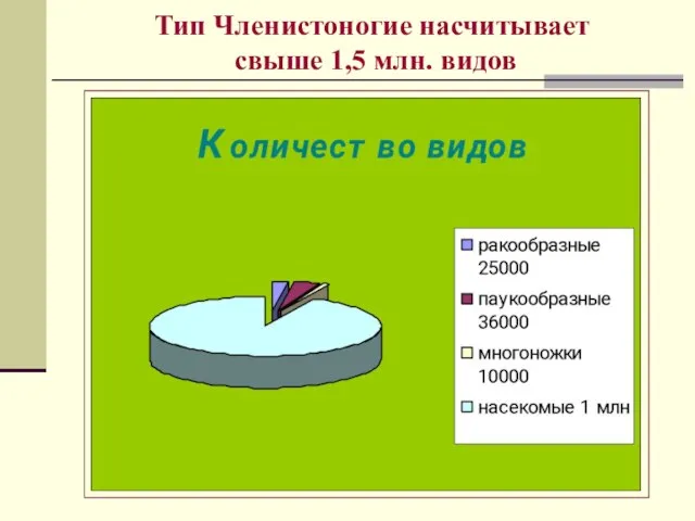 Тип Членистоногие насчитывает свыше 1,5 млн. видов