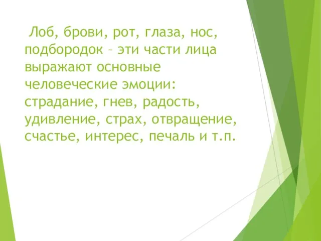 Лоб, брови, рот, глаза, нос, подбородок – эти части лица выражают