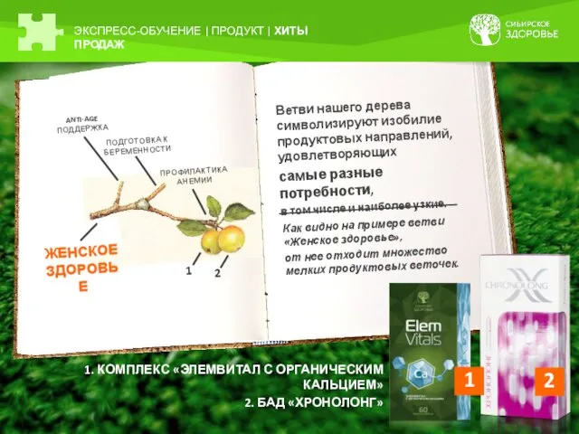 1. КОМПЛЕКС «ЭЛЕМВИТАЛ С ОРГАНИЧЕСКИМ КАЛЬЦИЕМ» 2. БАД «ХРОНОЛОНГ» ЭКСПРЕСС-ОБУЧЕНИЕ |