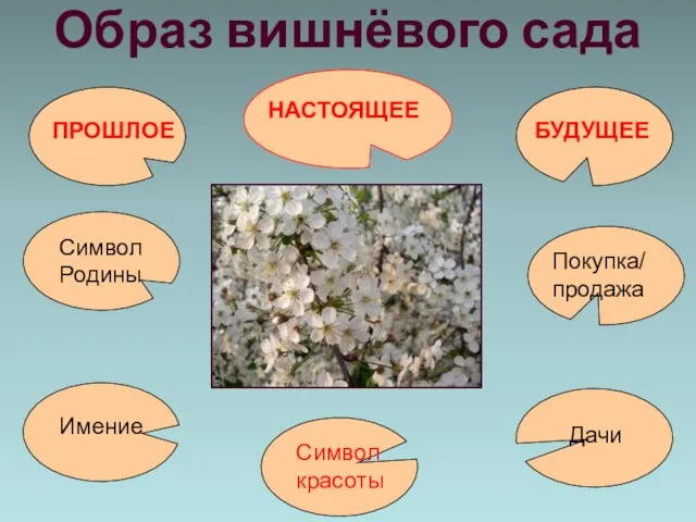 Образ вишнёвого сада Символ красоты Символ Родины ПРОШЛОЕ НАСТОЯЩЕЕ БУДУЩЕЕ Имение Дачи Покупка/ продажа