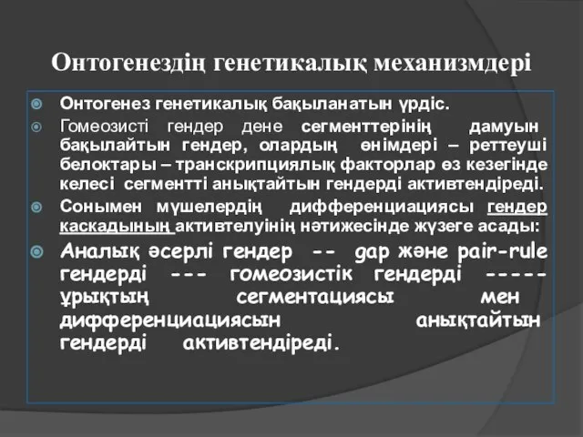 Онтогенездің генетикалық механизмдері Онтогенез генетикалық бақыланатын үрдіс. Гомеозисті гендер дене сегменттерінің