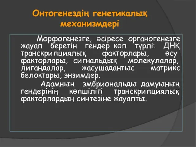 Онтогенездің генетикалық механизмдері Морфогенезге, әсіресе органогенезге жауап беретін гендер көп түрлі: