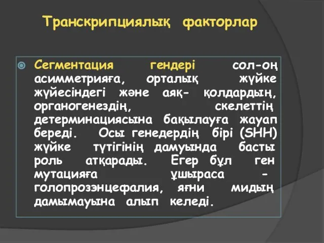 Транскрипциялық факторлар Сегментация гендері сол-оң асимметрияға, орталық жүйке жүйесіндегі және аяқ-