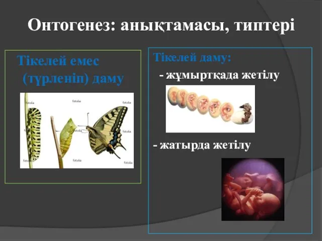 Онтогенез: анықтамасы, типтері Тікелей емес (түрленіп) даму Тікелей даму: - жұмыртқада жетілу - жатырда жетілу